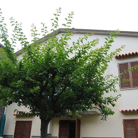 Il Susino Apartment ตีร์เรเนีย ภายนอก รูปภาพ